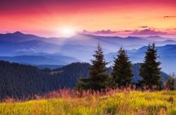 Profile: Sunrise8972