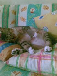 User Profile: farinaaa