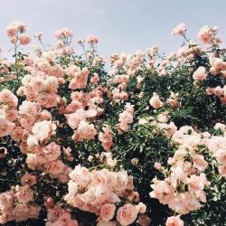 User Profile: Neth29