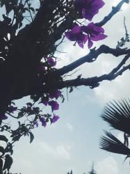 User Profile: Miracle1