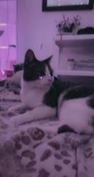 Profile: Milaaaaa00