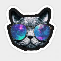 User Profile: beradasama
