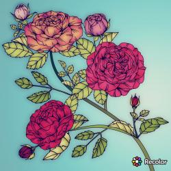 User Profile: brilliantScenery72