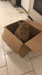 User Profile: Andomeda