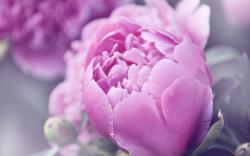 User Profile: compassionateWaterfall12