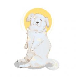 User Profile: Sunnyh