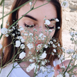 Profile: bittersweetsunflowerr