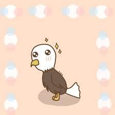 User Profile: colourfulEagle89