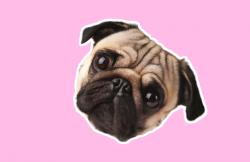 User Profile: cutedelicatebean05