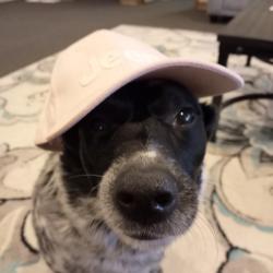 User Profile: PearBear2121