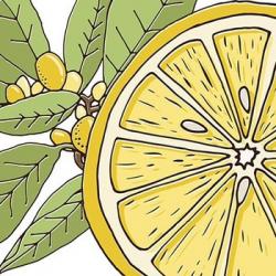 User Profile: LemonFresh