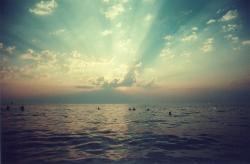 User Profile: Laut04
