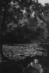Profile: DeadEver