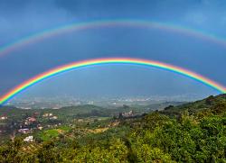 User Profile: RainbowDragon