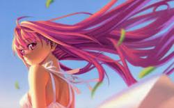 User Profile: KarinaXKnight