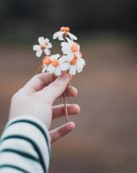 User Profile: PriyankaMJ