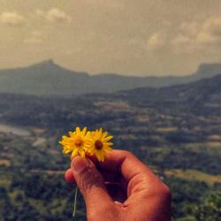 User Profile: inspiredbyallthings