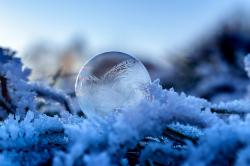 User Profile: ICYSPHERE