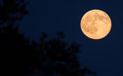 User Profile: em7moons
