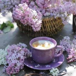 User Profile: gracefulPurple9181