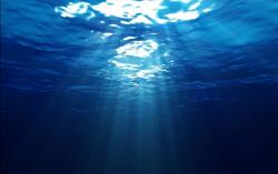 User Profile: MelodyoftheOcean