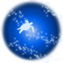 Profile: SparklingSeashells