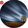 User Profile: mgn