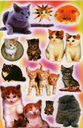 Profile: honeyscentedcat