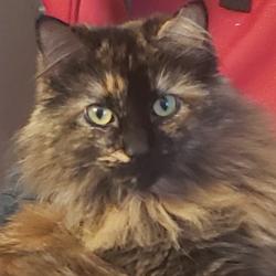 User Profile: Shay673751