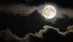 User Profile: MoonOfTheLight