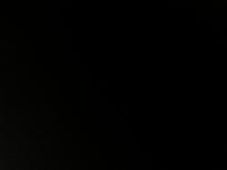 User Profile: kindWillow2833