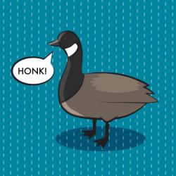 User Profile: Goose11