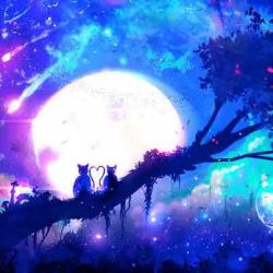 User Profile: SereneAbyss