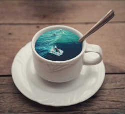 User Profile: talksovertea