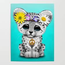User Profile: SoulfulCat22