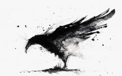 User Profile: RavenObscure