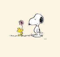 User Profile: bluesunflower1309