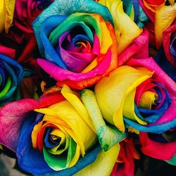 User Profile: bouncyShiny3792