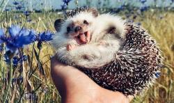 User Profile: ImKatieee