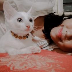 User Profile: Gelai213