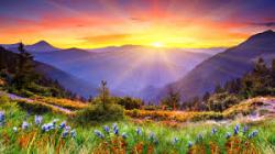 Profile: BeautifulSun298501