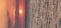 User Profile: Dancingsunset1225