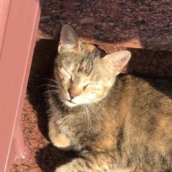 User Profile: nupolian