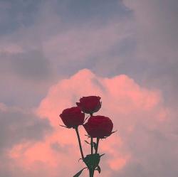 User Profile: thatlittlehope