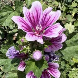User Profile: WonderfulBeauty777