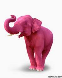 Profile: PinkElephantL
