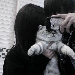 User Profile: jundaee