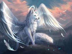 User Profile: AngelOfKindness