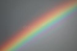 User Profile: gentleRainbow000