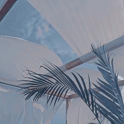 User Profile: seali